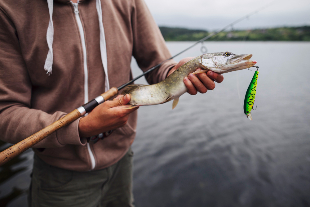 What Is The Best Bait To Catch Sturgeon?